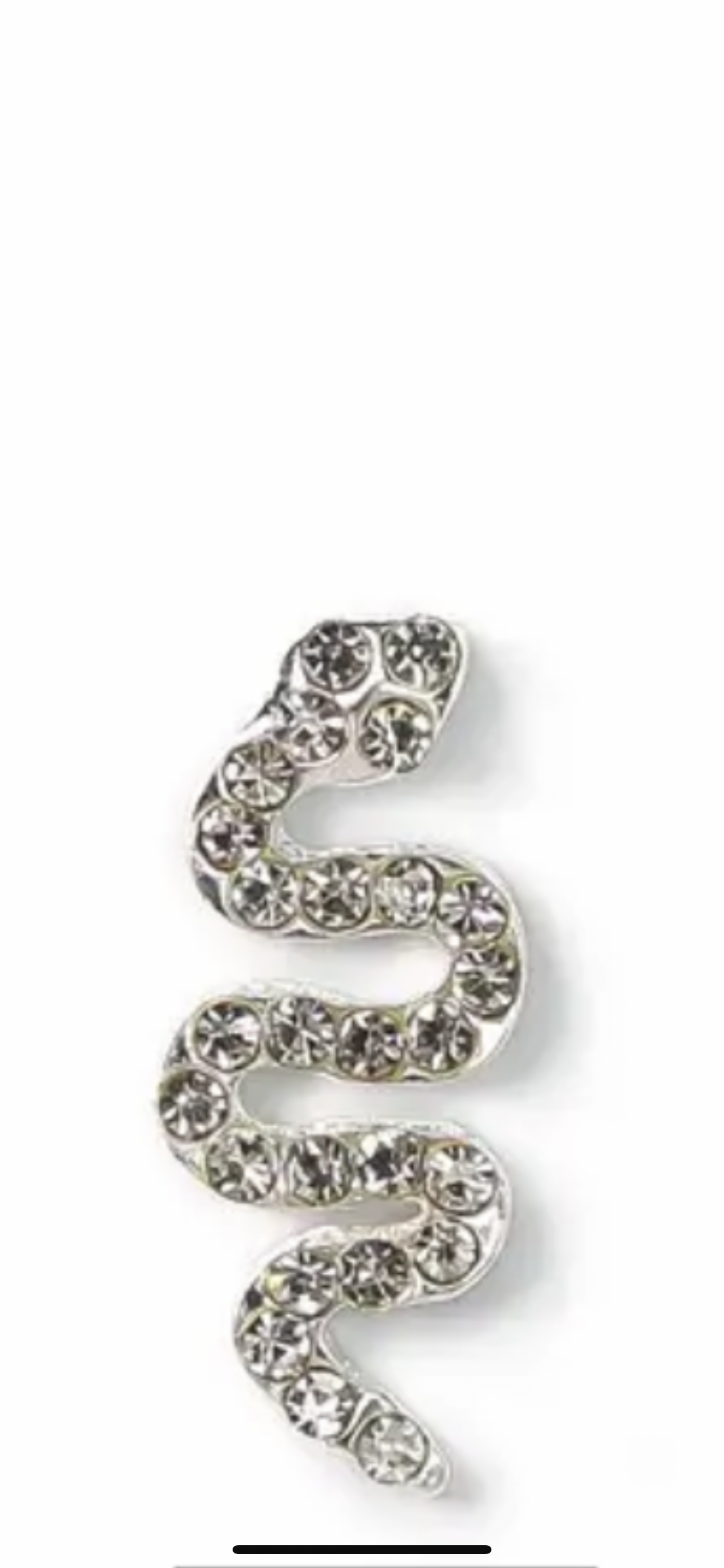 snake metal charm