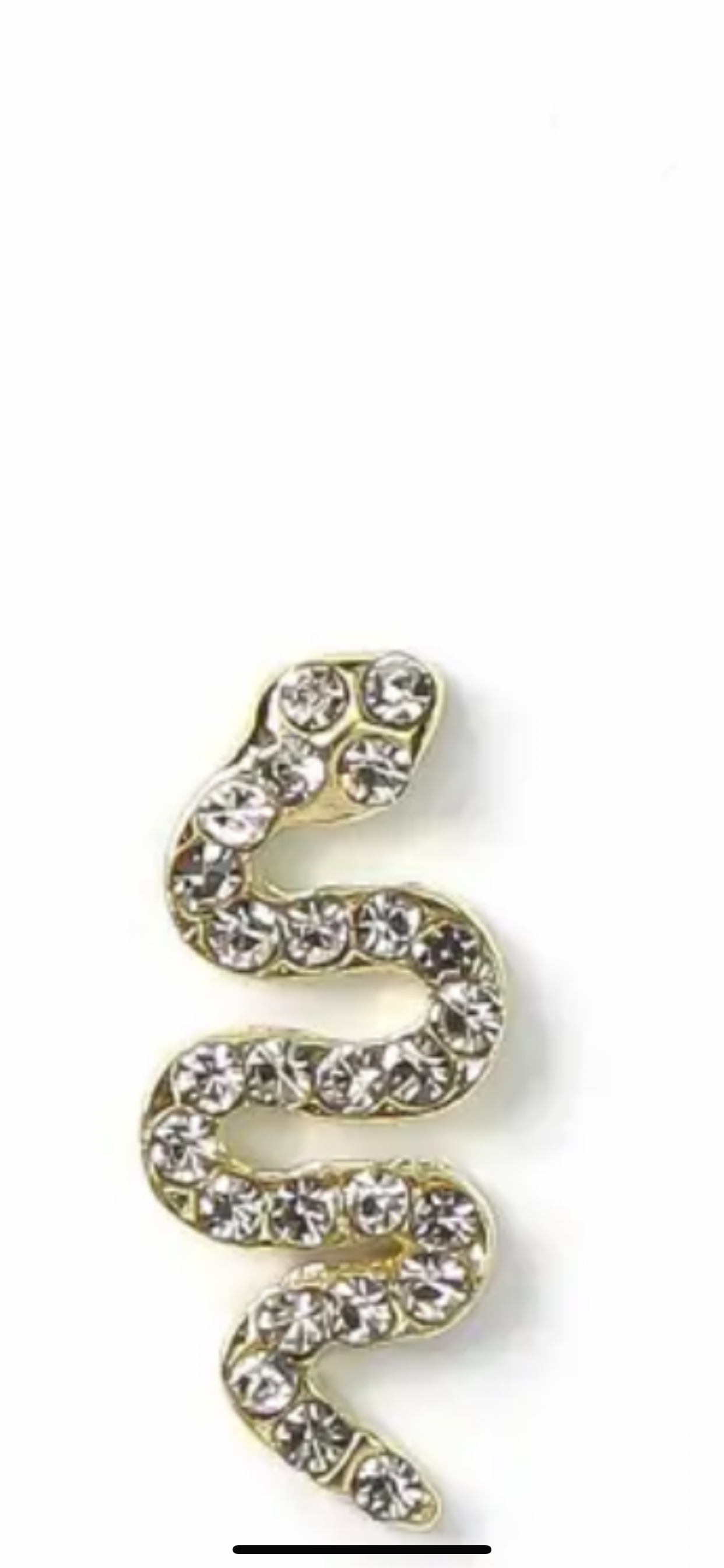 snake metal charm